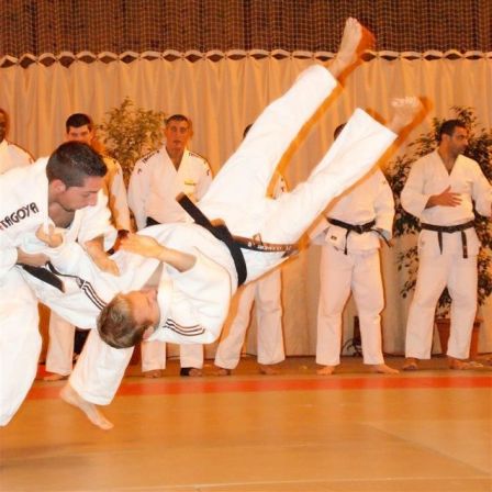 Tremblay AC Judo